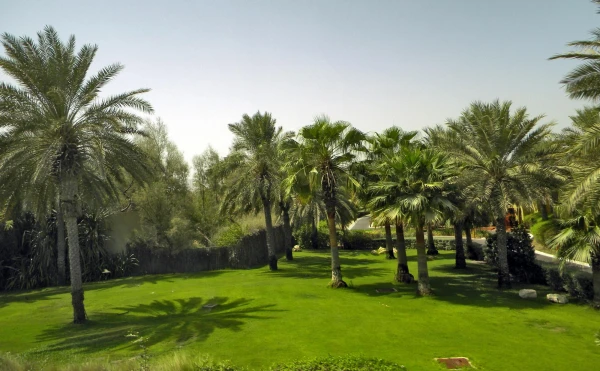 Madinat Jumeirah - Сентябрь 2010