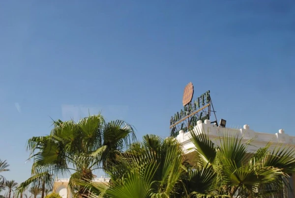 AMARANTE GARDEN PALMS