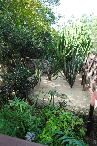 Manati park(зоопарк)