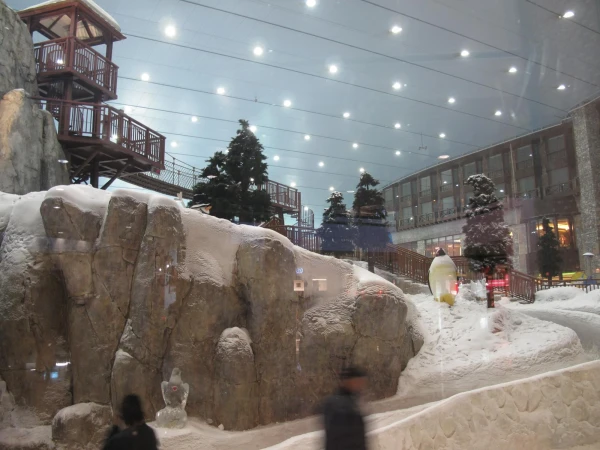 горнолыжный спуск в Mall of Emirates