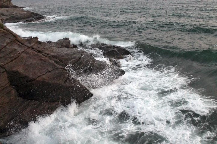 У моря