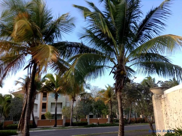 Комплекс Maralago Palmas