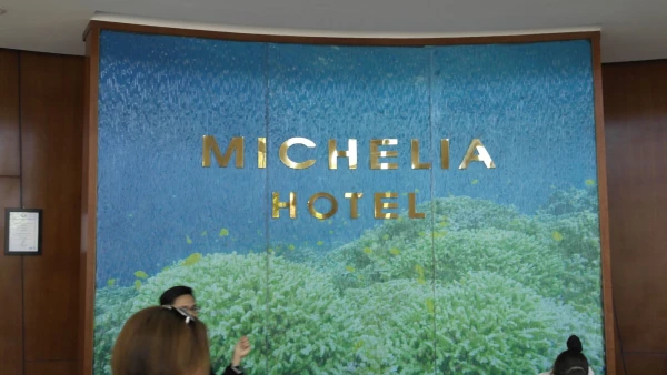 Michelia 4* (Нячанг)