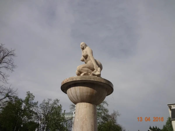 Фотогалерея