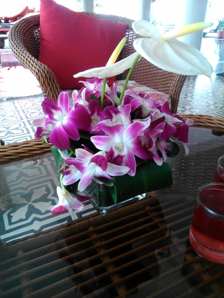 Индия. Radisson Goa Candolim 4*