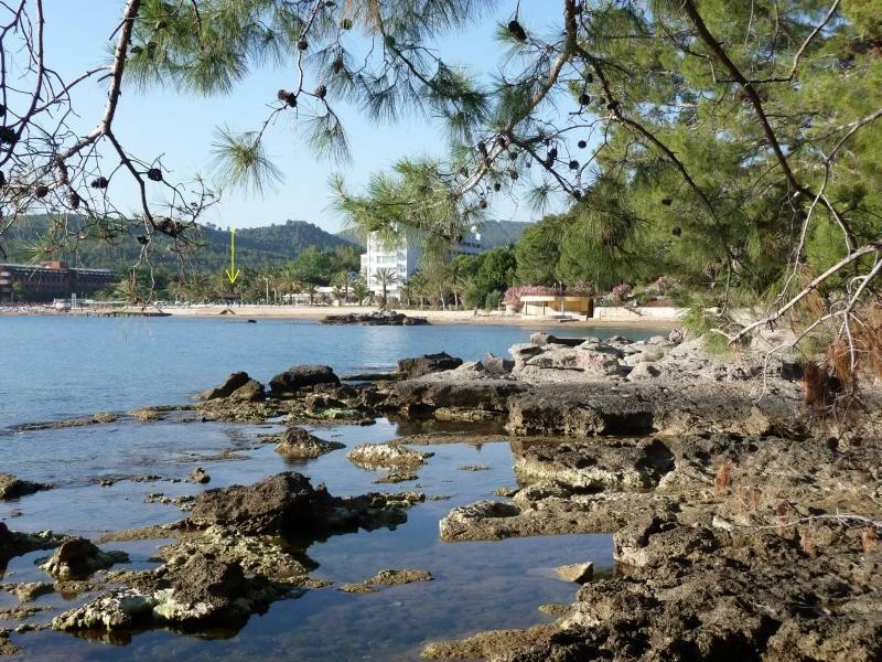 Фото-Аланья-Annabella BEACH