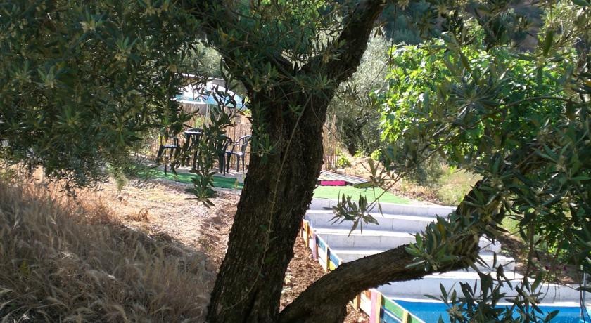 El Almendro De La Tia Teresa 