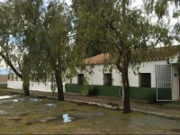 Mas de Chapa 