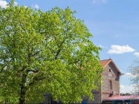 Pension Lorien 