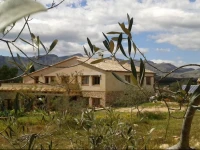Mas del Pi 