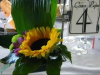 Hotel Restaurante Casa Pepe 