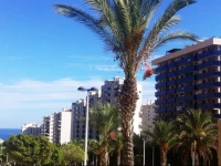 Apartment La Cala Finestrat 