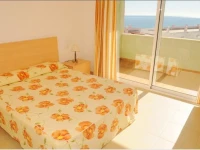 Duplex Ancla 