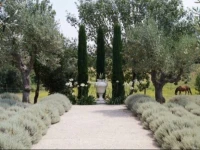 Finca Els Olivers 