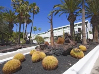 Arena Dorada 