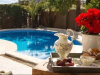 Palm Luxury Retreat 