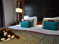 Norton House Hotel and Spa