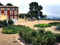 Finca San Agustin 