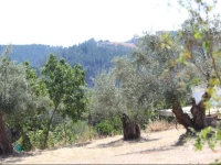 Casas Rurales Los Montes 