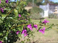 Villas Cristina 