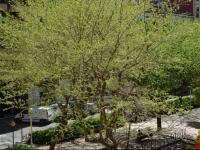 Business Travel and Holidays Apartments 