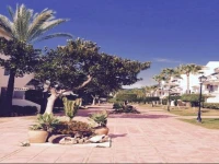 Nila de Marbella 