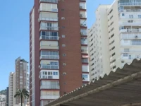 Dayamond 