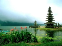 5* Hotel 5*