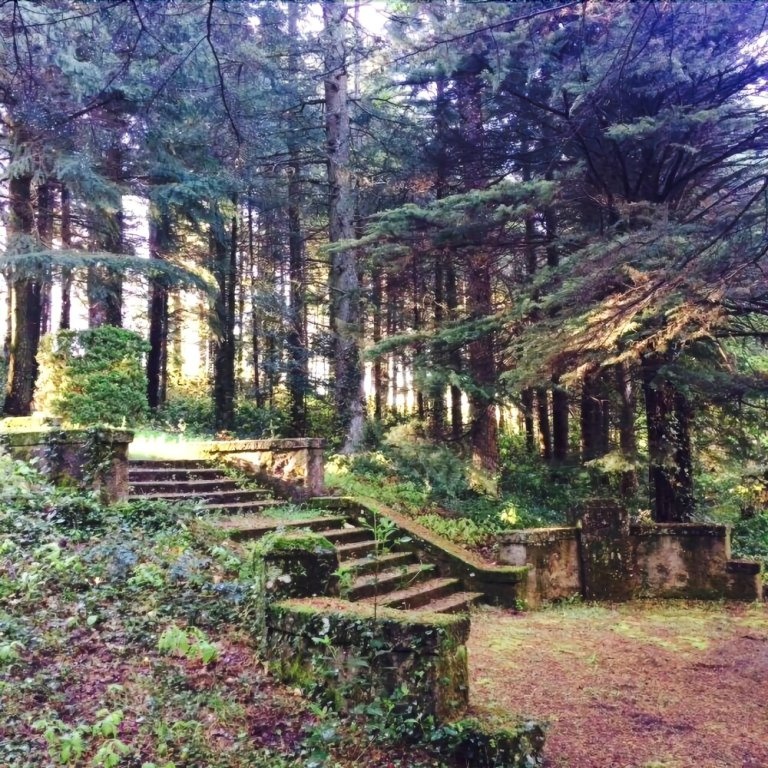 El Jardin del Conde 