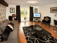 Luxury Apartments 