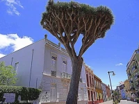 Apartamento Belen 