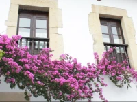 La Casona De Villanueva 
