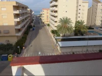 Campos 2 