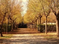 Camping &amp; Bungalows Suspiro del Moro 2*