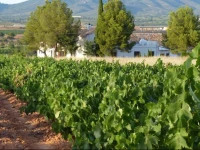 Casa Rural El Arrullo 