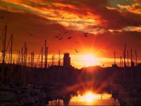 Casaboat Denia 