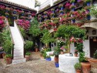 El Rincon del Abuelo 