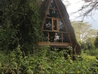 Oasis Eco Camp 