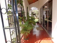 Vine Homes 