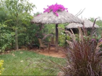 Africana Yard 