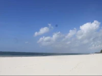 Diani Marine 