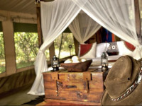 Mara Bush Camp