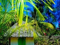 Simba House Watamu 