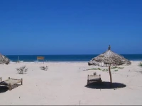 Barefoot Beach Camp 