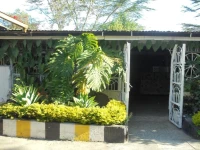 The Yellow Green Hotel 