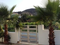 The Old Olive Tree House 