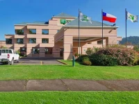 Holiday Inn Express Temuco 3*