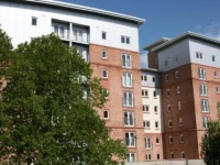 New Luxury Executive Apts 