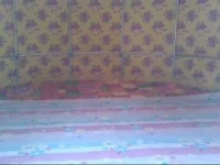 Guanshan Litao Farm Stay 