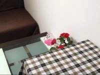 Grey Pigeon Apartment 1*